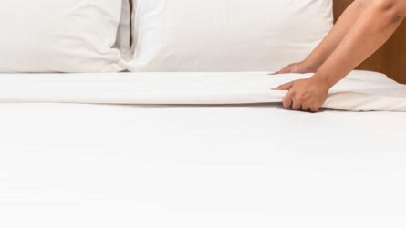 bm-concierge-house-sitting bm-concierge-house-sitting