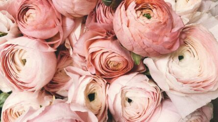 bm-concierge_romantic-concierge bm-concierge_romantic-concierge